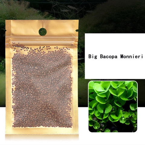 Image of 7 Styles Aquatic Water Grass Aquarium Plant