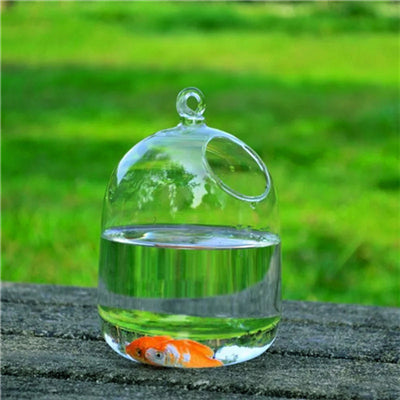 Image of PETFORU 15cm Height Hanging Glass Aquarium Fish Bowl