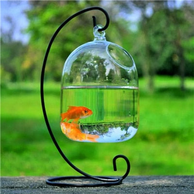 Image of PETFORU 15cm Height Hanging Glass Aquarium Fish Bowl
