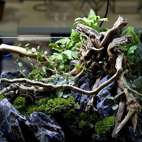 Image of 1PC Decorative Aquarium Driftwood