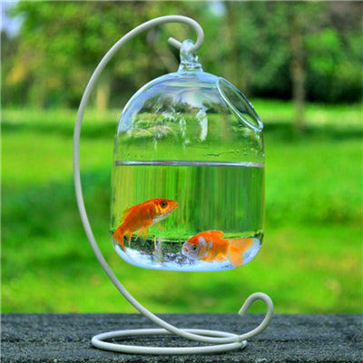 Image of PETFORU 15cm Height Hanging Glass Aquarium Fish Bowl