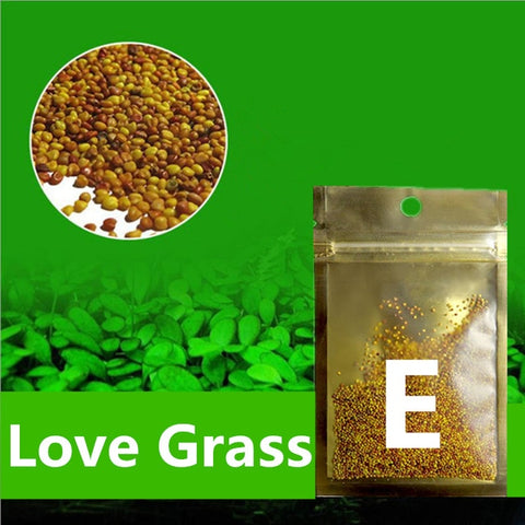 Image of Aquarium Seed Plant Glossostigma/ Hemianthus/ Callitrichoides